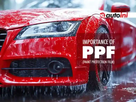 Paint Protection Film